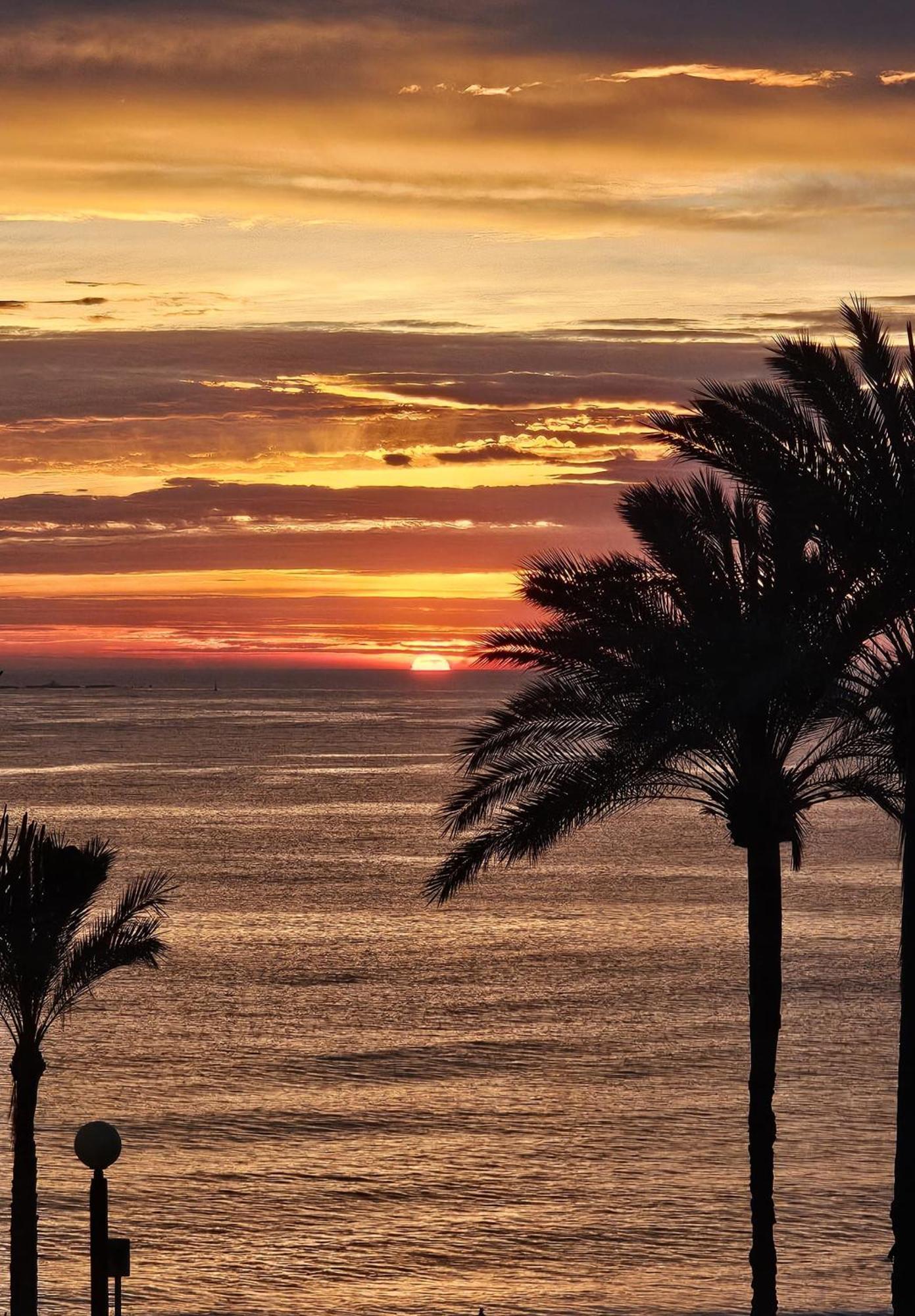 Apartamento Blanco El Albir Esterno foto